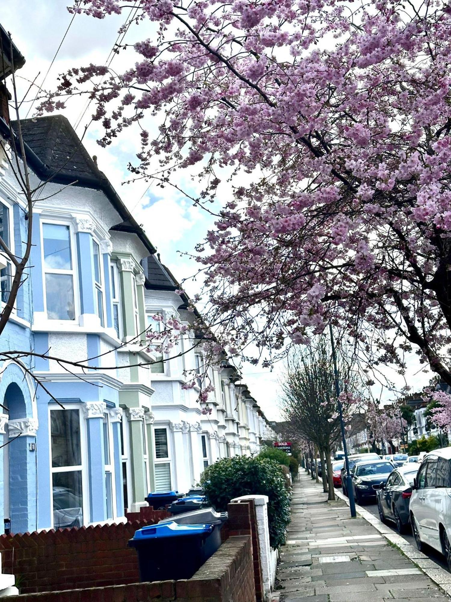 Charming, Renovated Residence In Willesden Green Лондон Екстер'єр фото